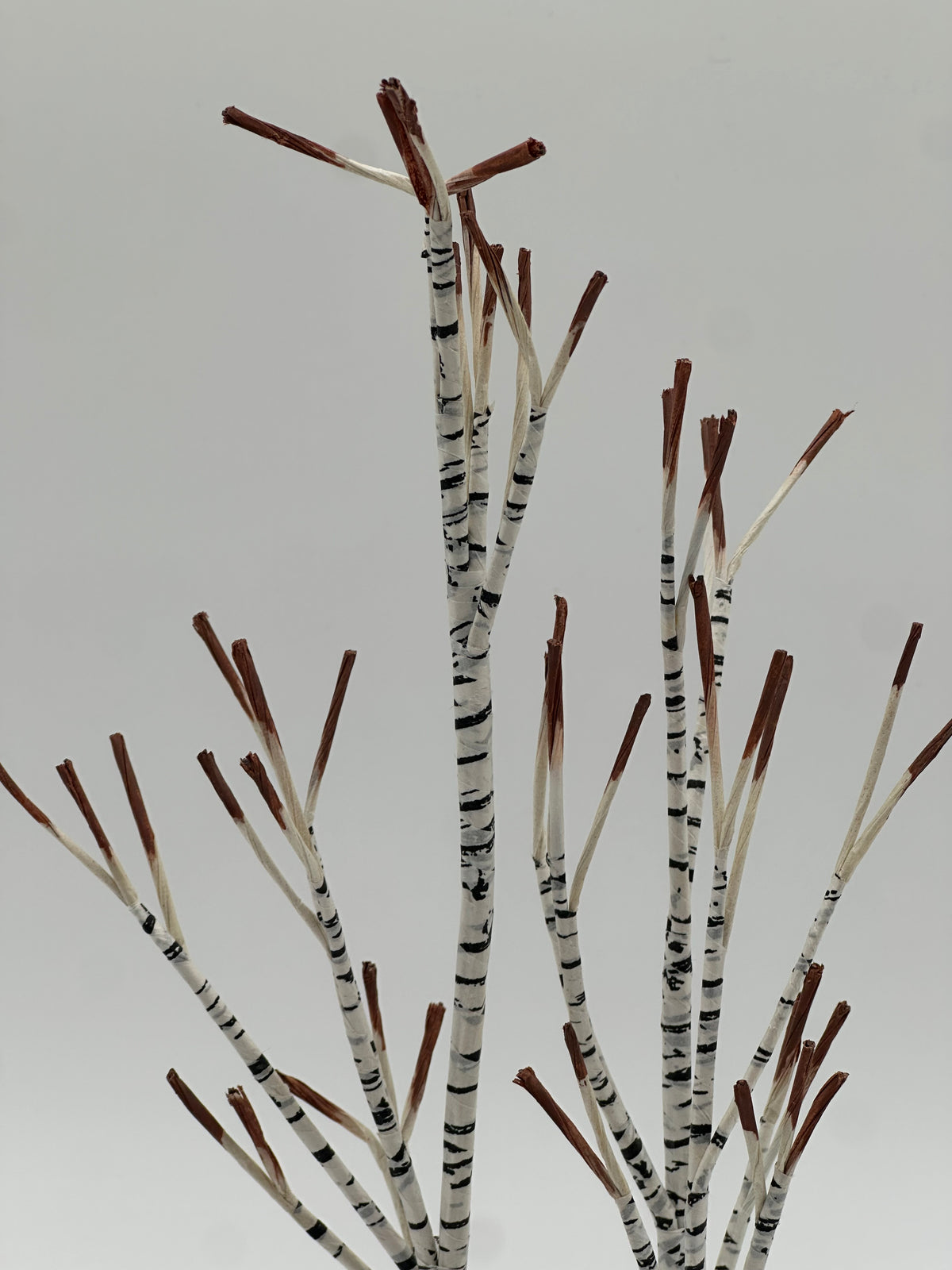 Department 56 - Village Winter Birch Tree - Village Accessories